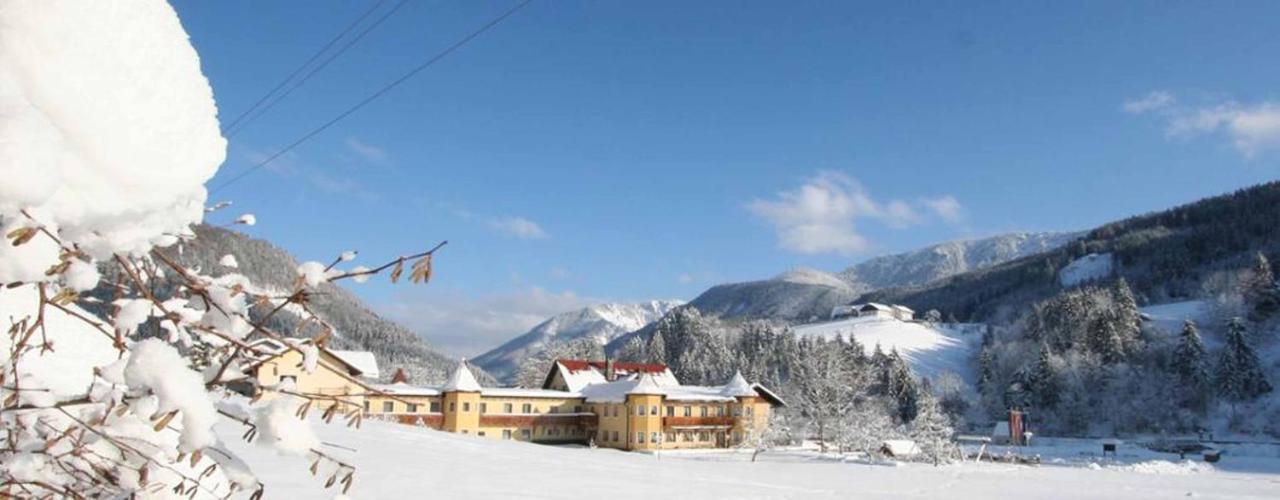 Hotel Waldesruh Goestling an der Ybbs Exterior photo
